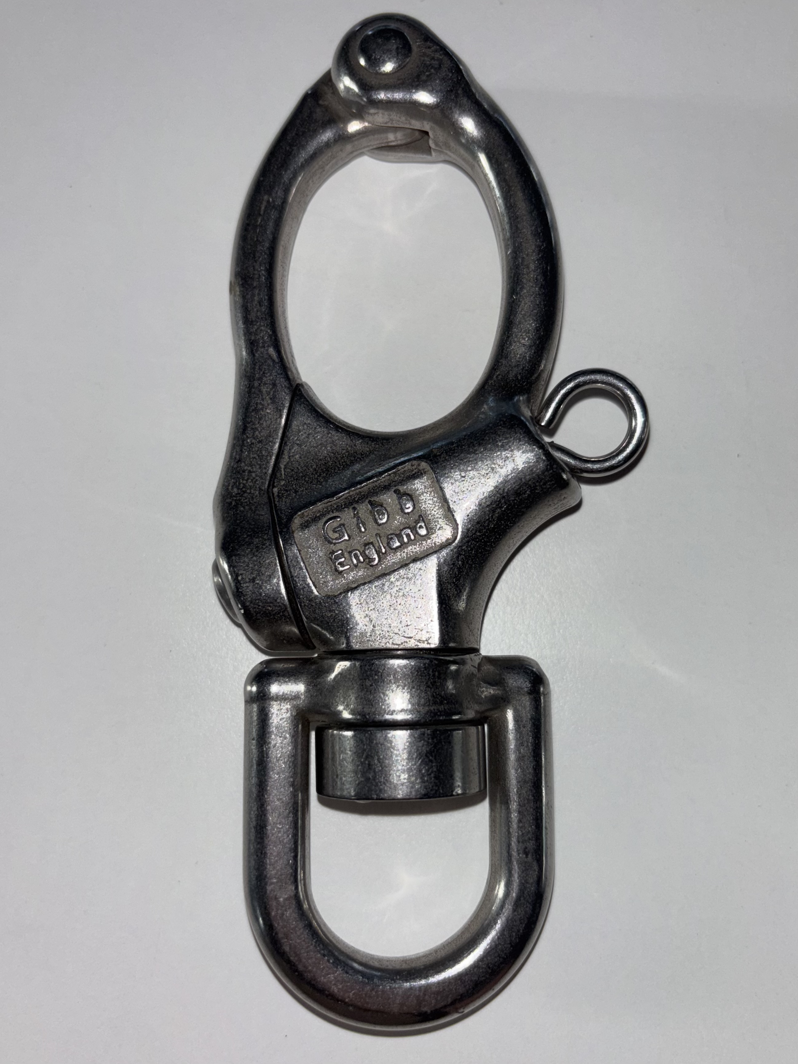 Schnappschäkel Gibb mit großem Wirbelauge