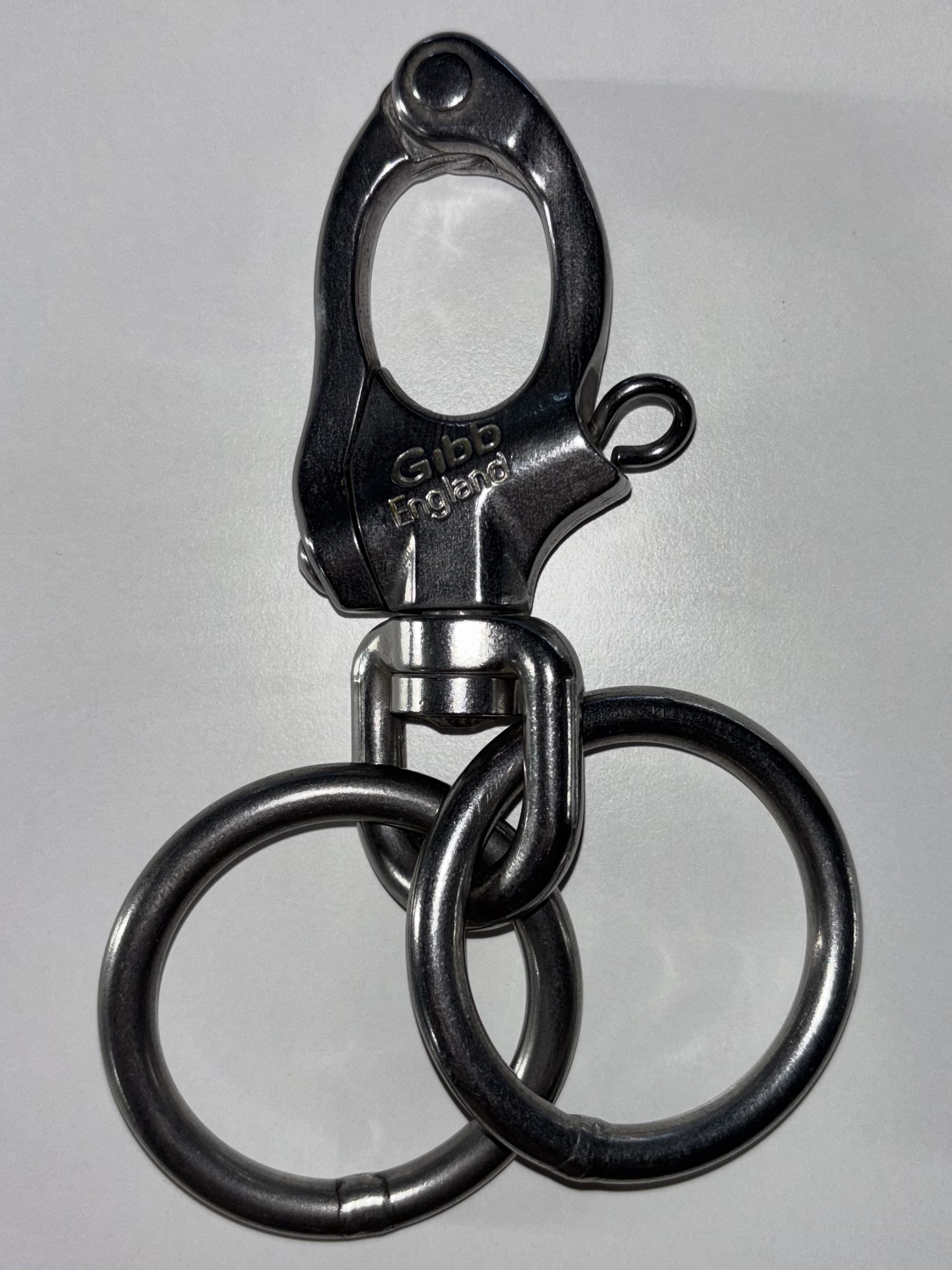 Schnappschäkel Gibb mit 2 Ringen