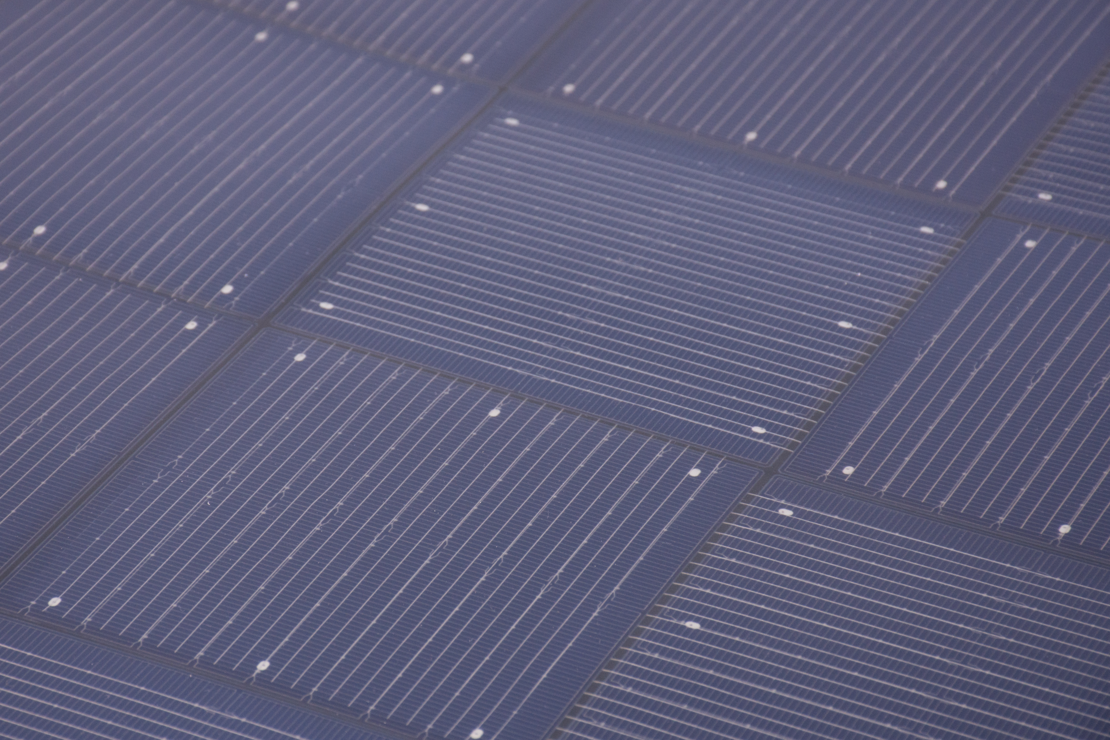 FLIN-SOLAR FLINflex - standard - 50W - soft cable